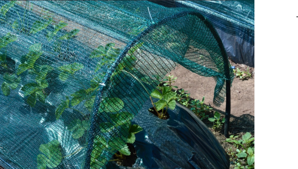 Agro Shade Net